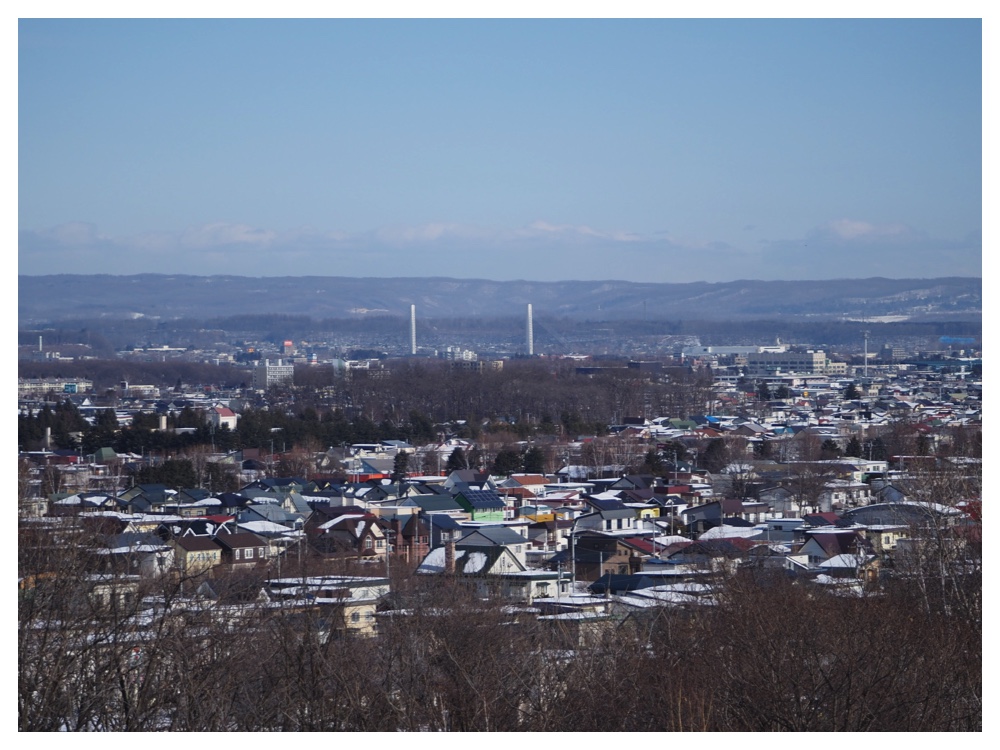 260125_Bird-survey_24