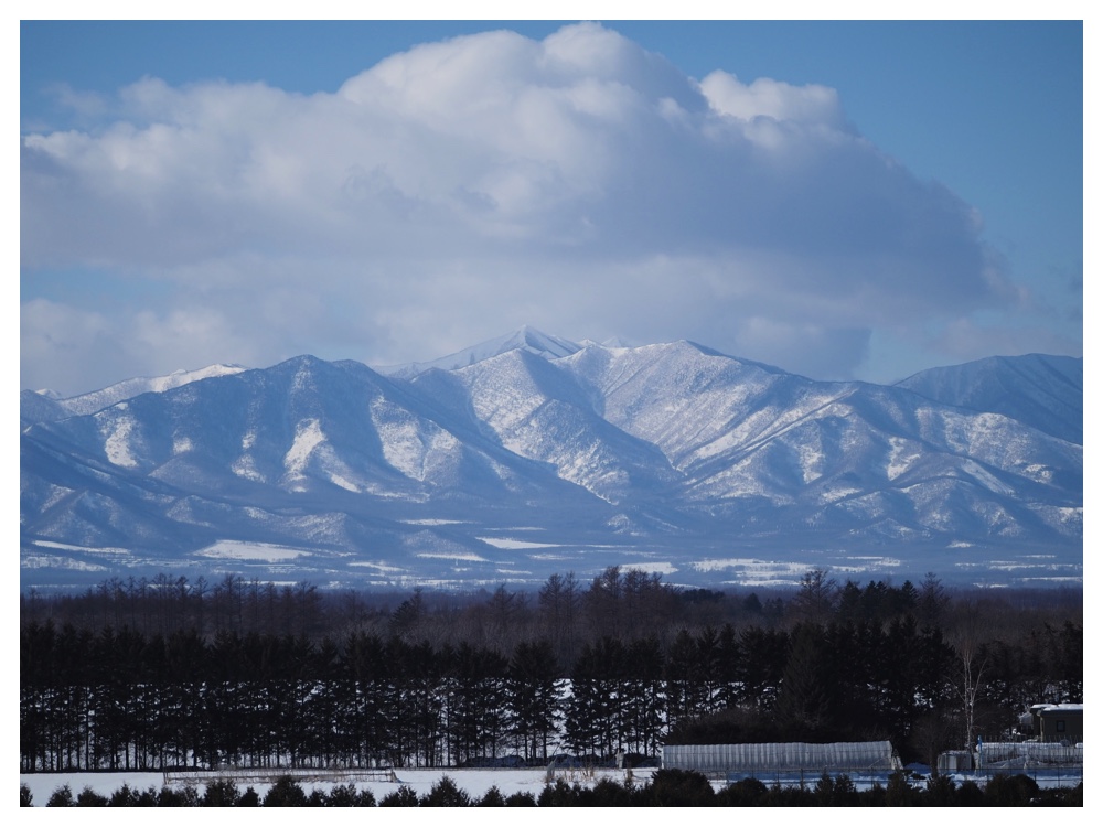 260125_Bird-survey_27