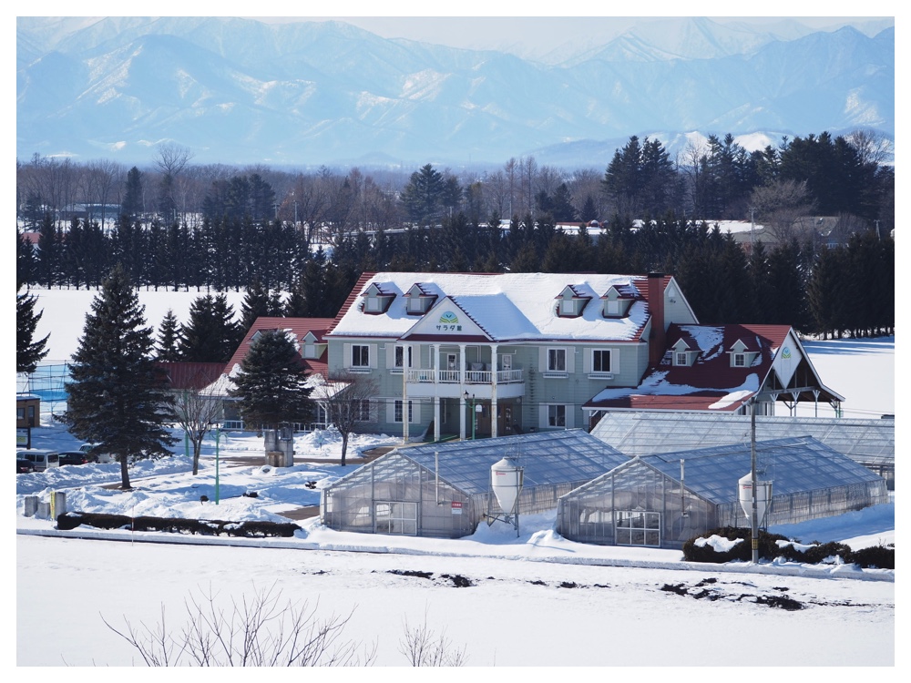 260125_Bird-survey_30