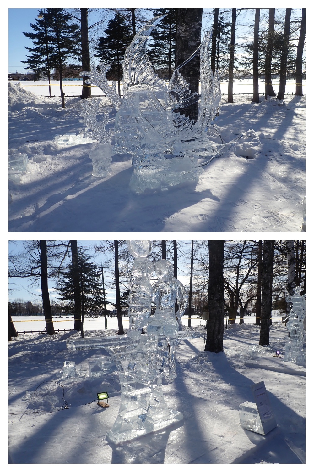 260131_Ice-fes_6