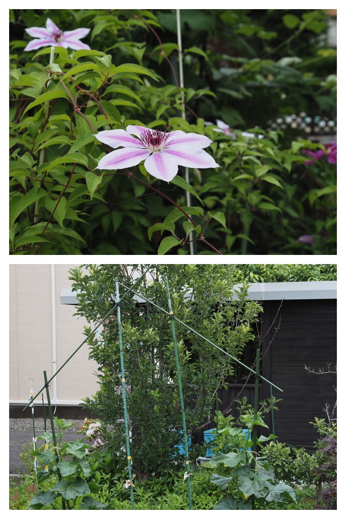 260711_Oninoyagara_1
