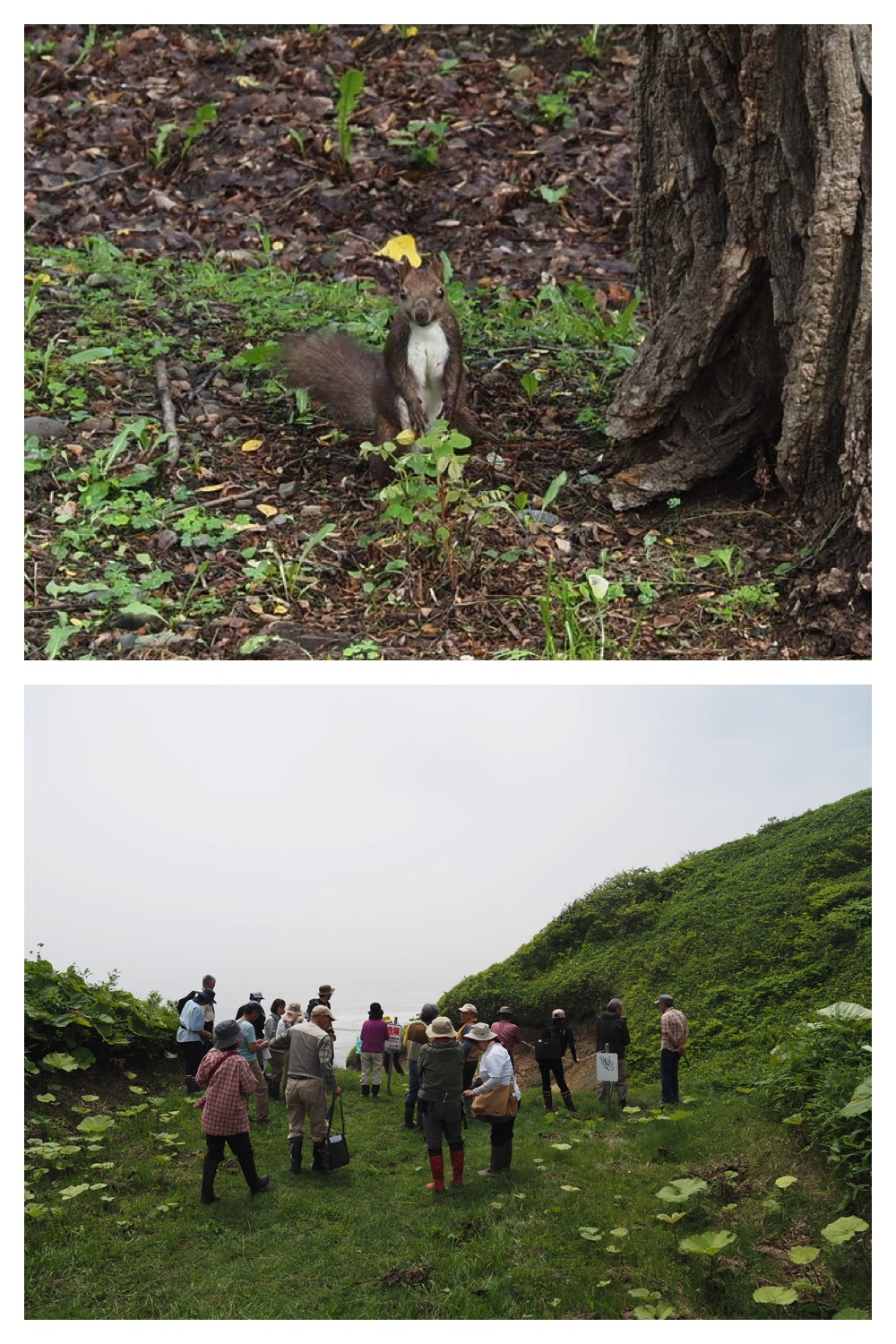 260712_Shizenshi_1.jpg