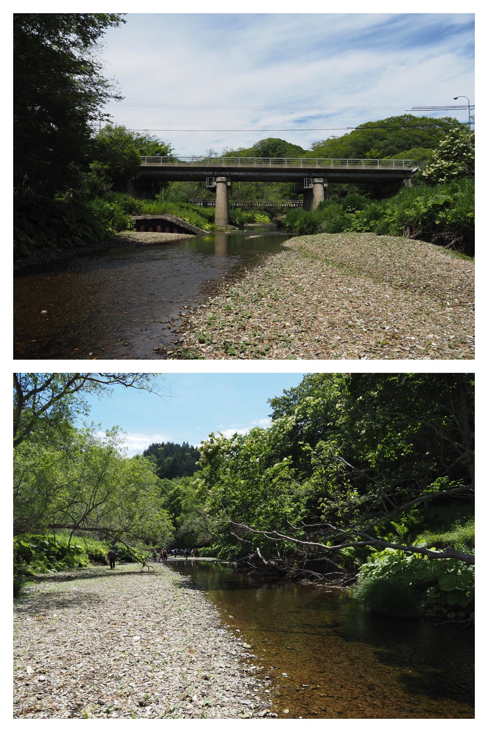 260712_Shizenshi_10.jpg