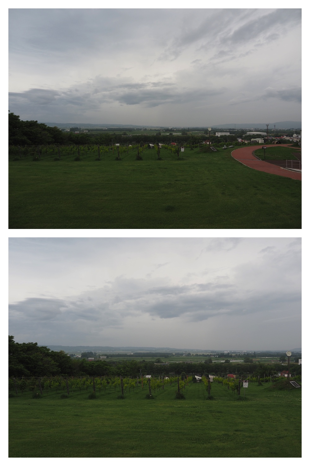 260712_Shizenshi_27.jpg