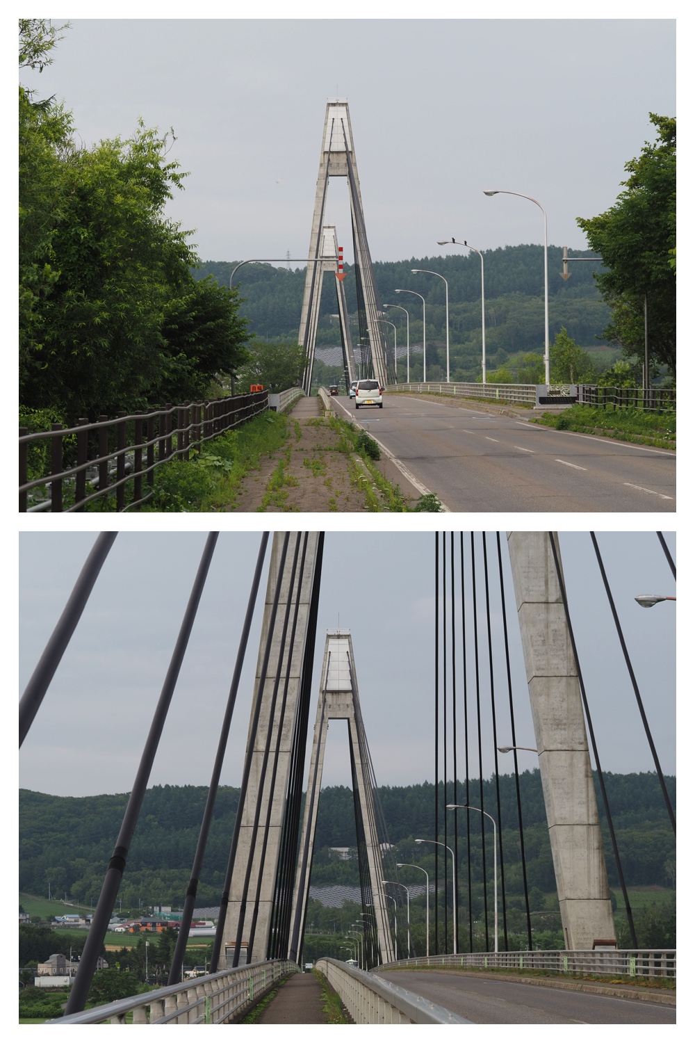 260714_Eco-park_4