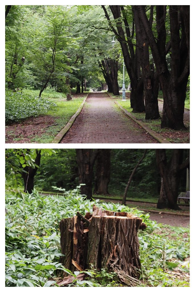 260720_Yasouen_2