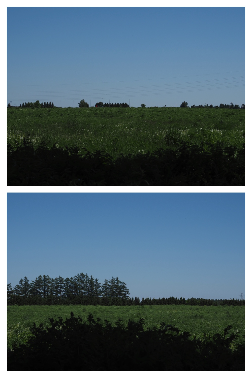 260601_Urikaigawa_15