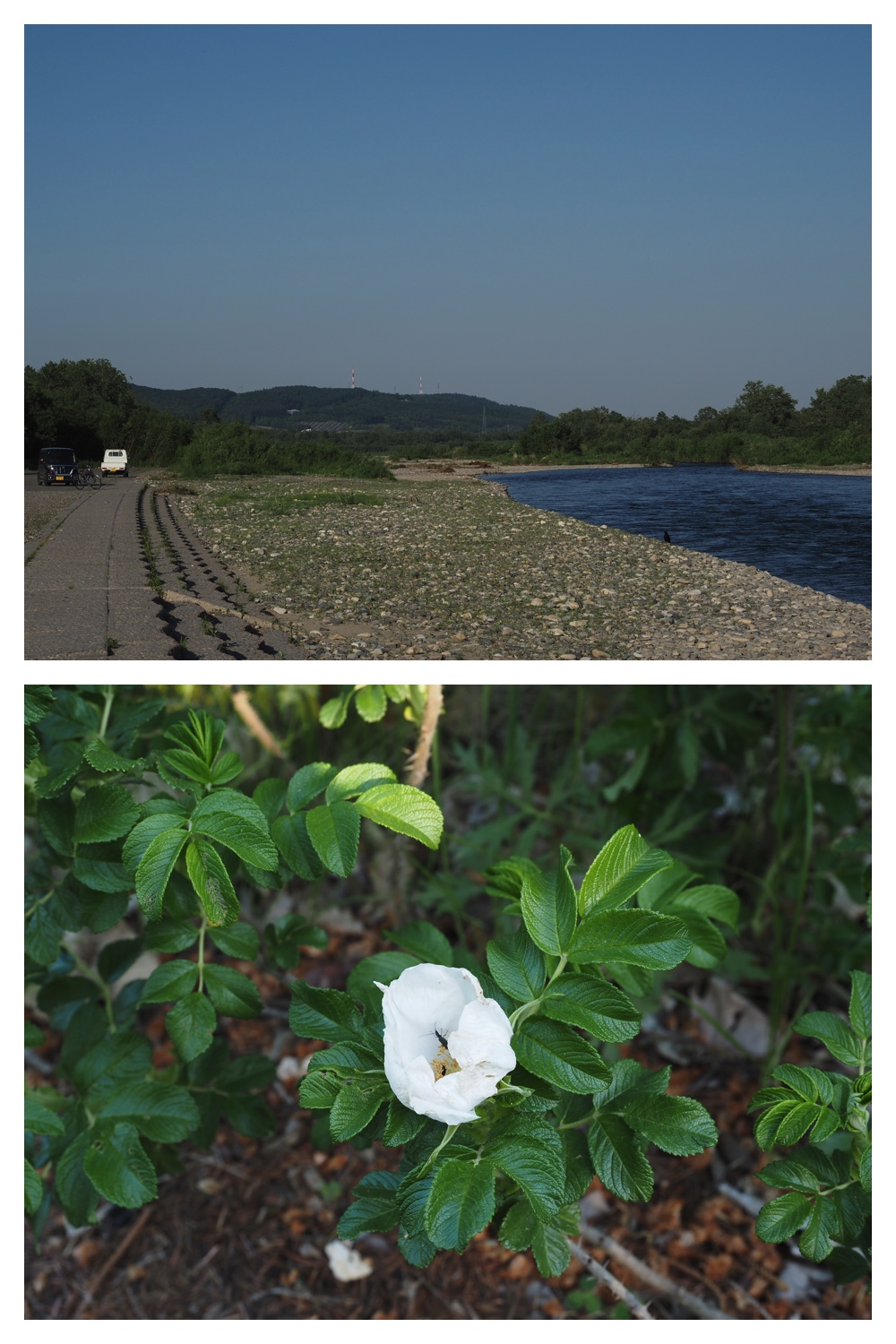 260602_Hasshounochi_23