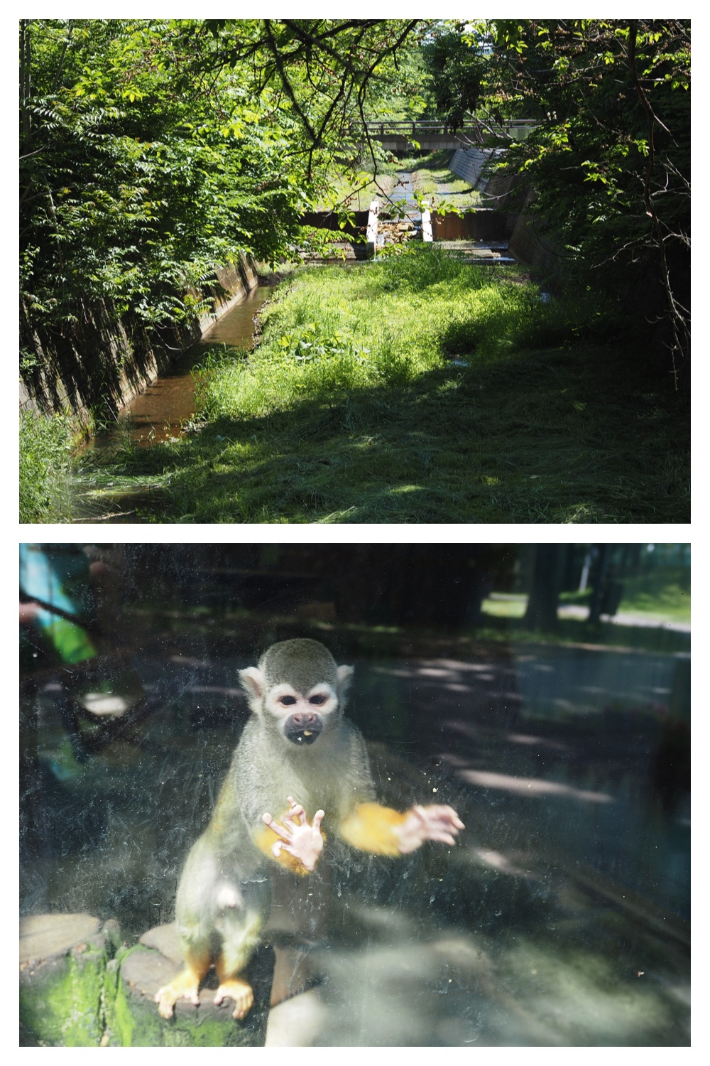 260612_Zoo_4