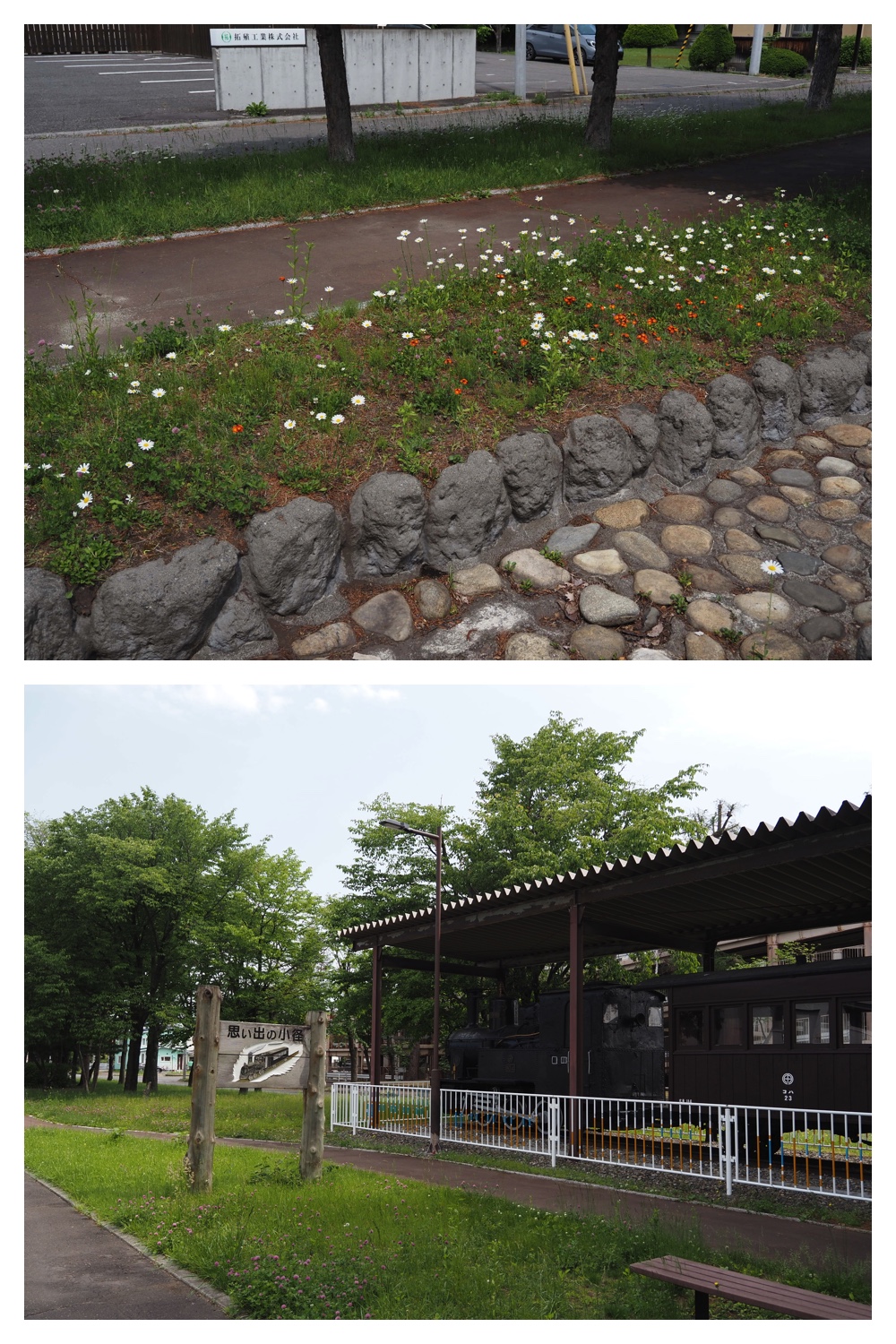 260613_Library_1