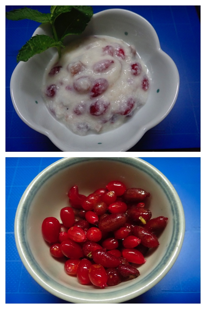 260616_Berries_13