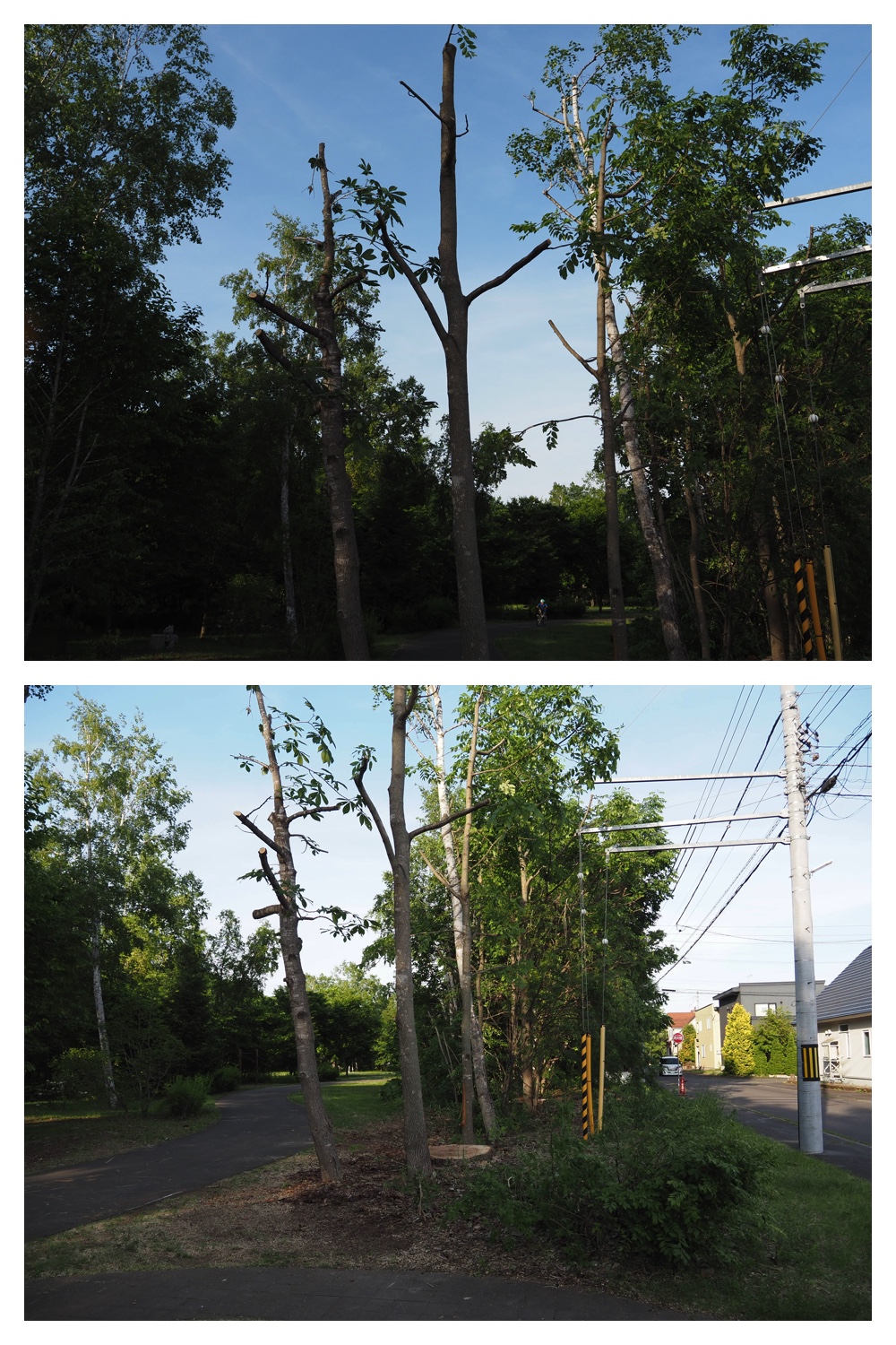 260618_Hasshounochi_11