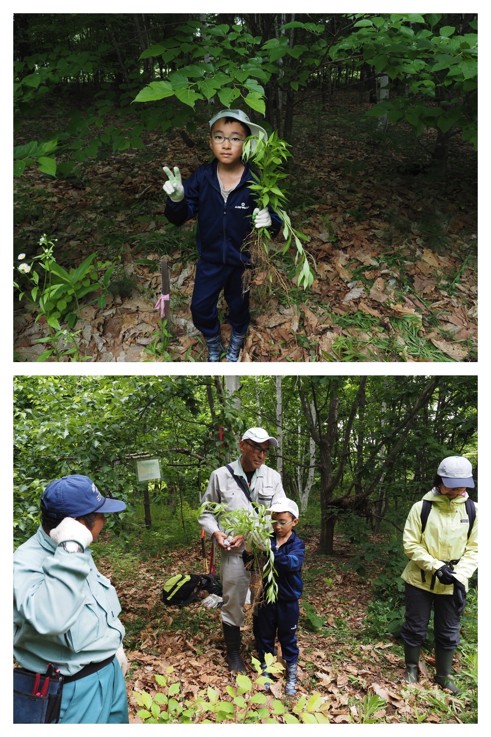 260621_Satoyama_5