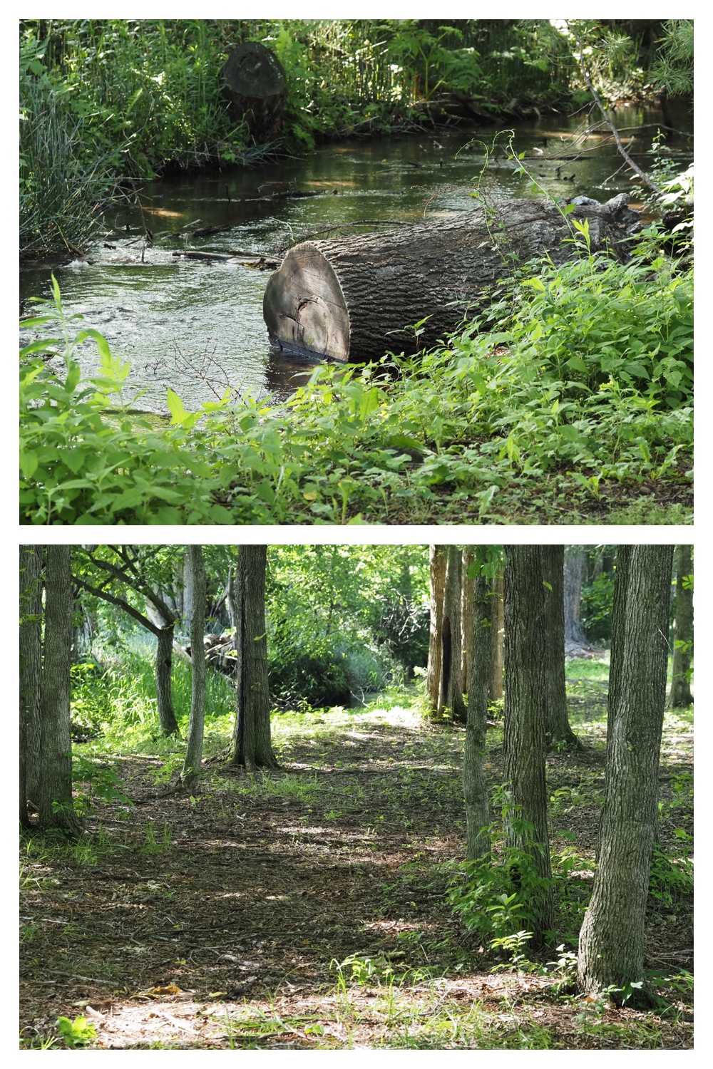 260630_Noukou-walk_13