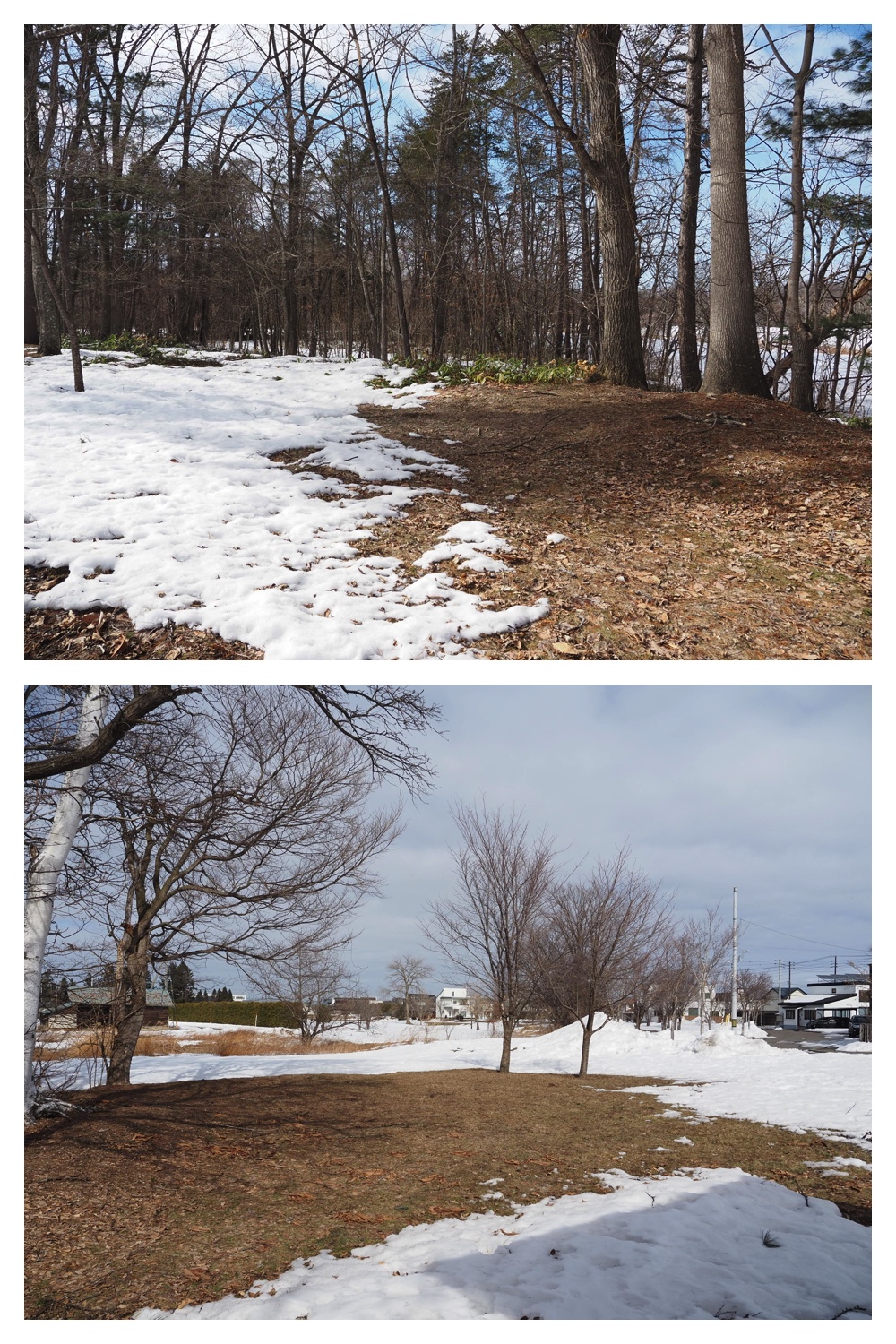 260303_After-the-storm_1