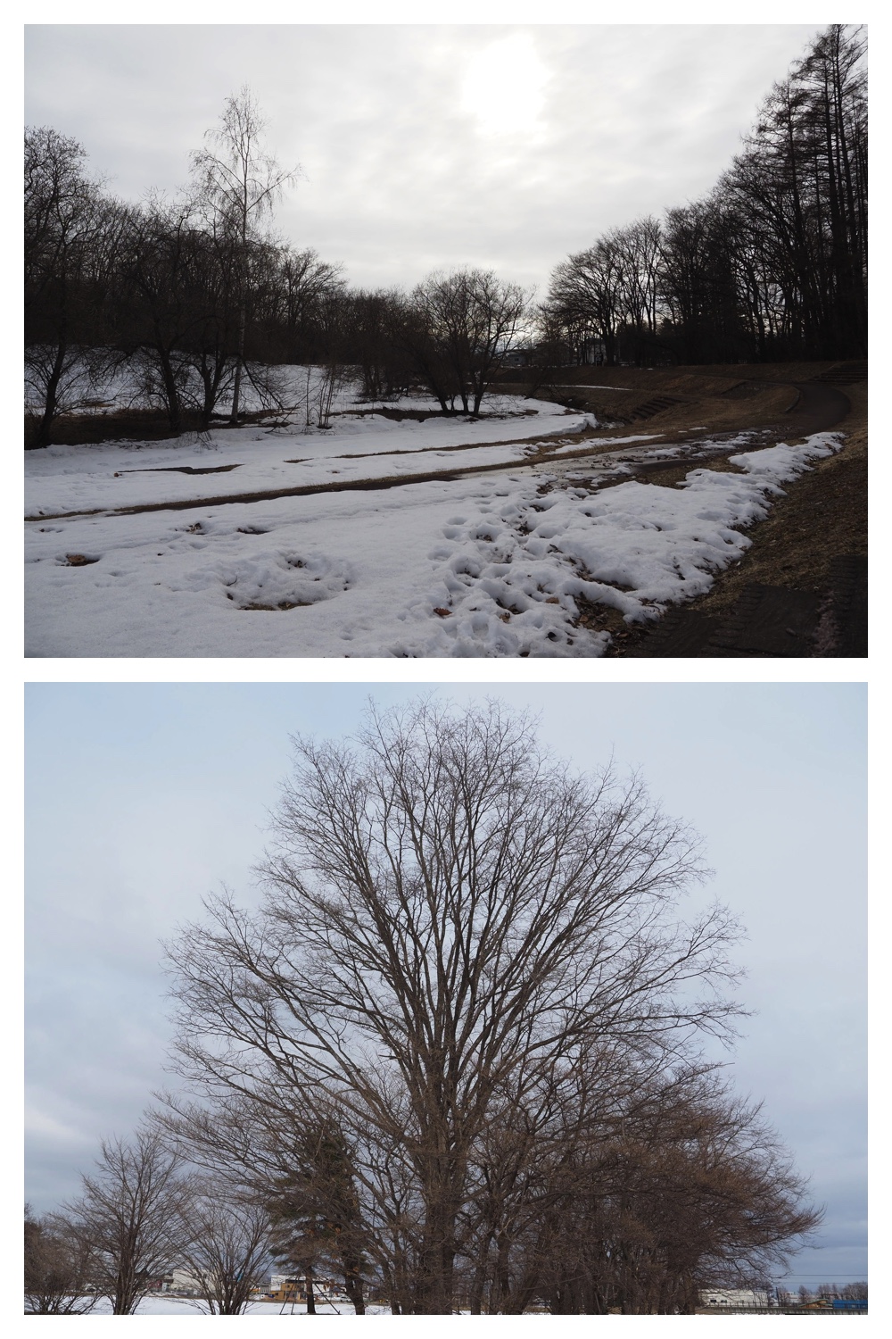 260303_After-the-storm_11