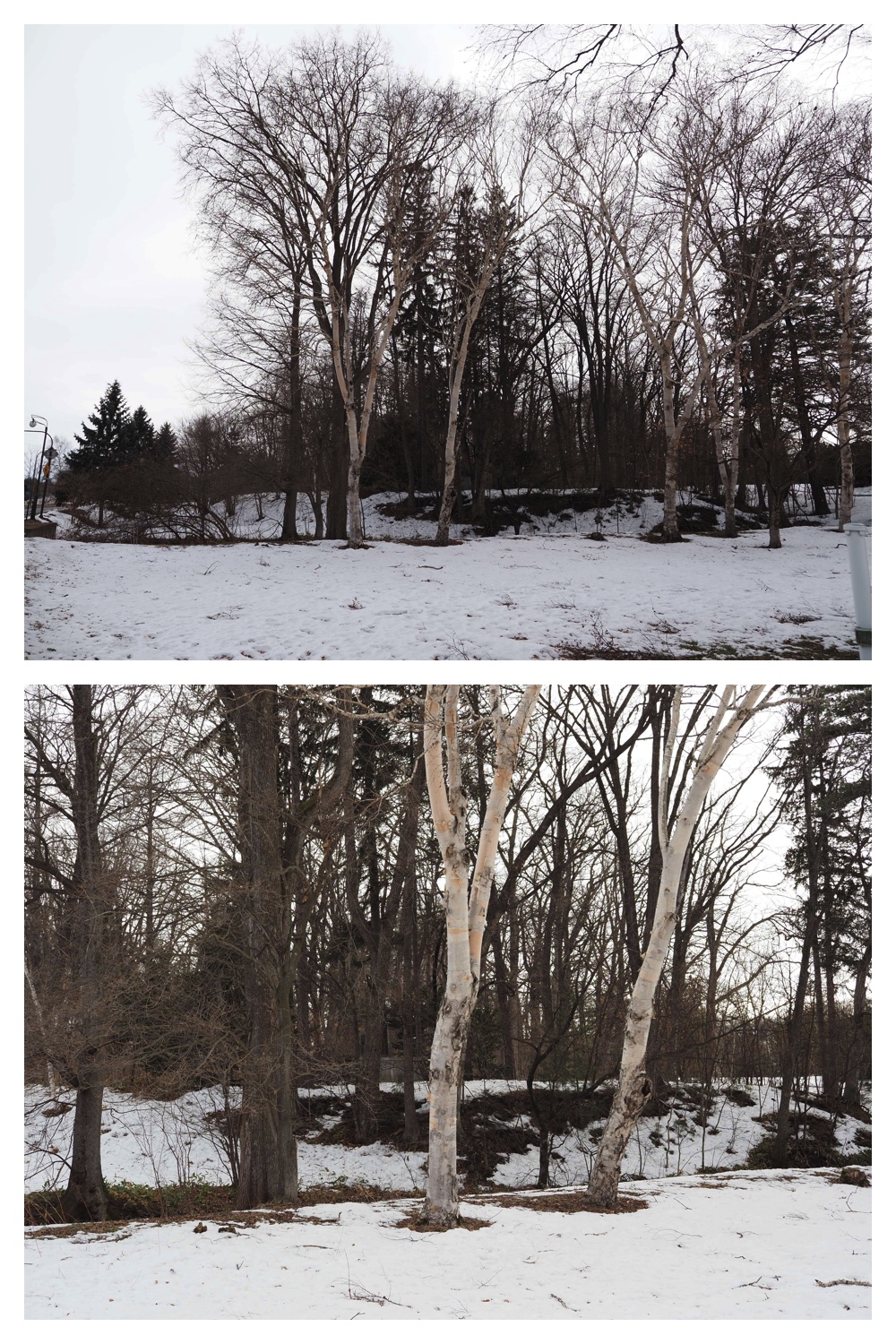 260303_After-the-storm_12