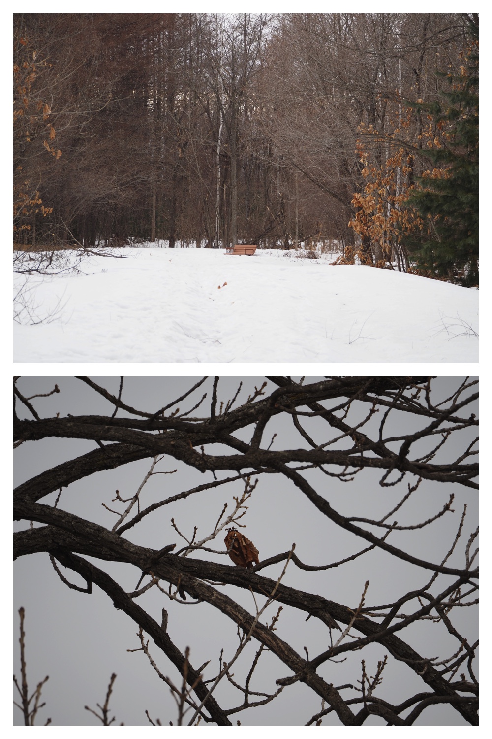 260303_After-the-storm_14