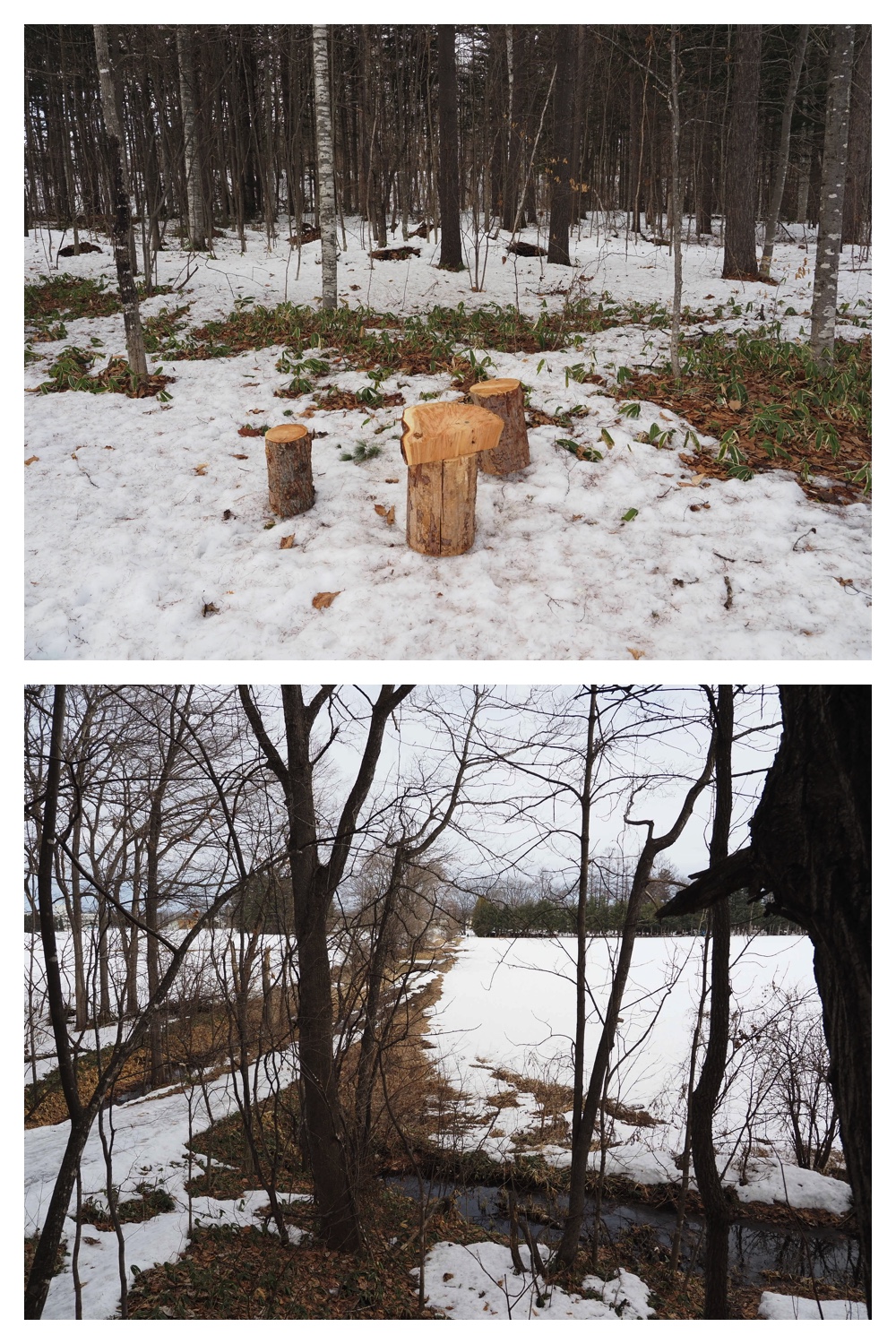 260303_After-the-storm_5