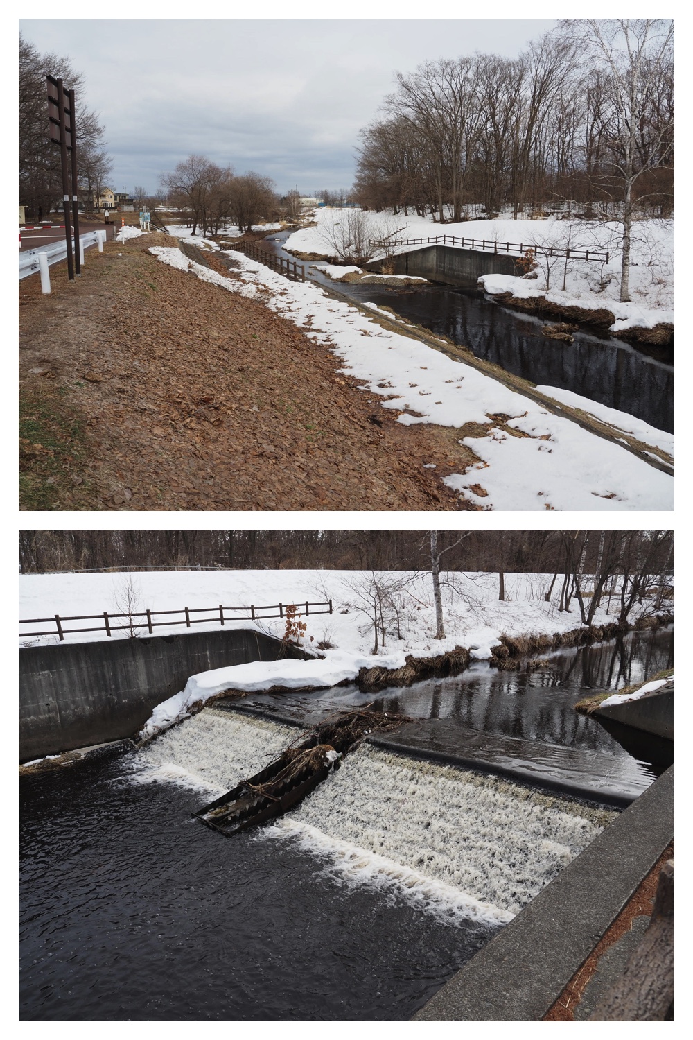 260303_After-the-storm_9