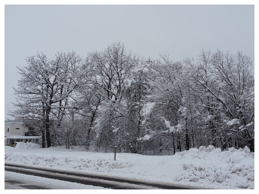 260305_After-the-heavy-snow_5