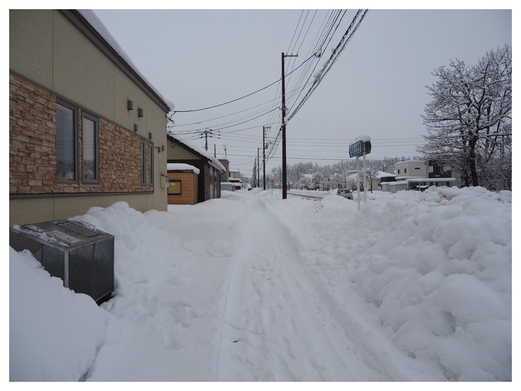260305_After-the-heavy-snow_6