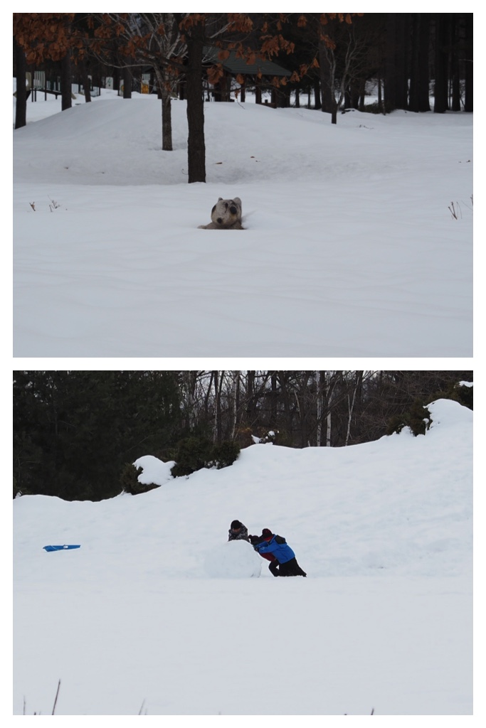 260306_Snowy-scenes_10