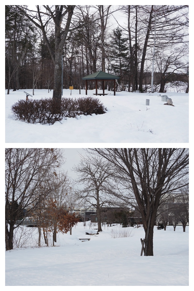 260306_Snowy-scenes_2