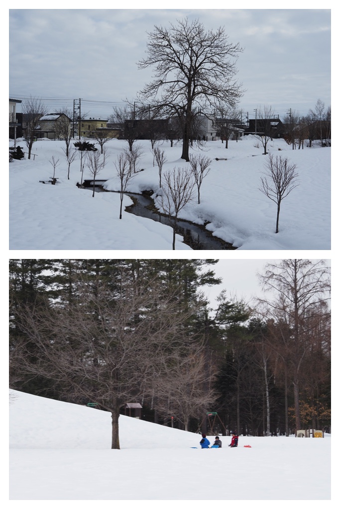 260306_Snowy-scenes_3