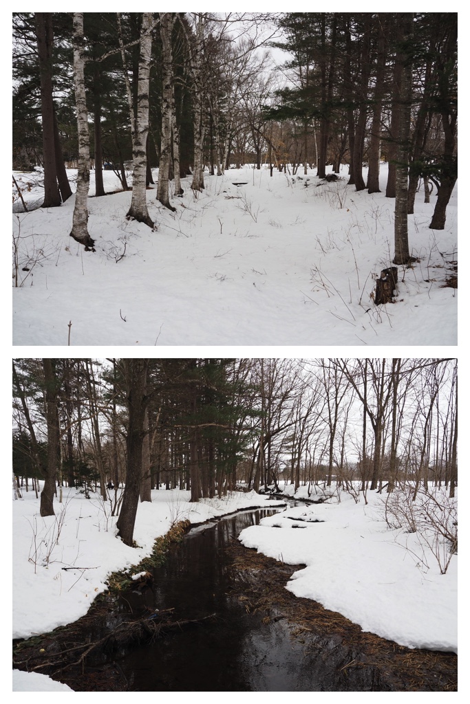 260306_Snowy-scenes_4