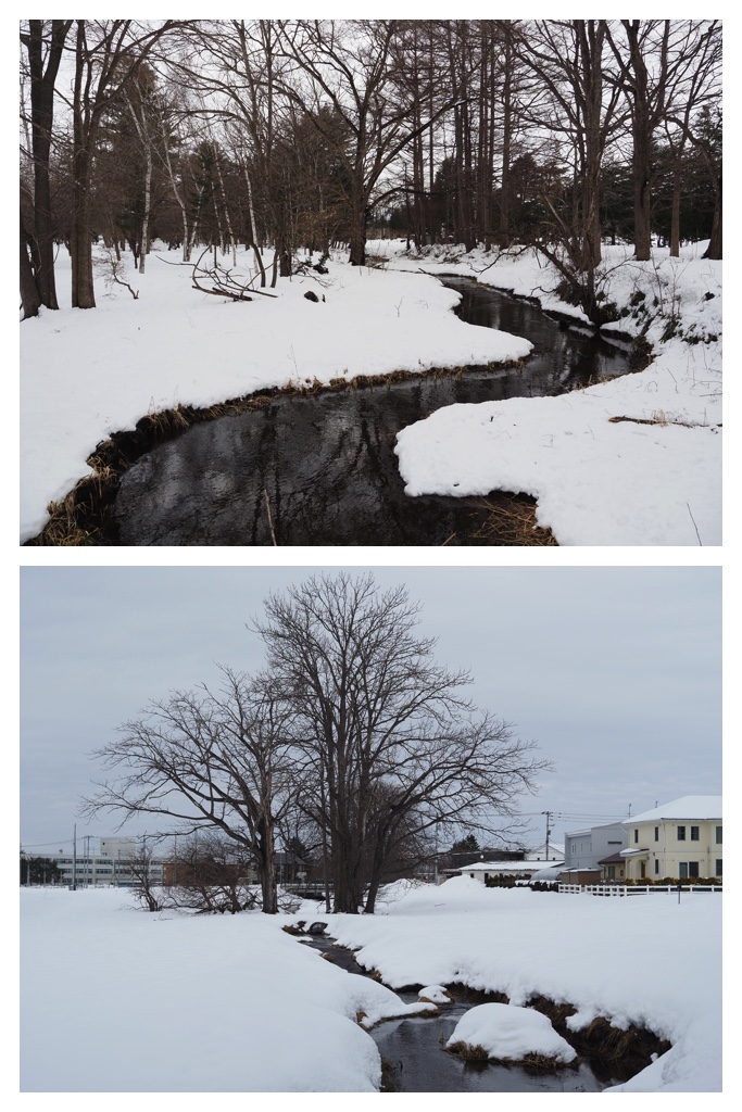 260306_Snowy-scenes_7