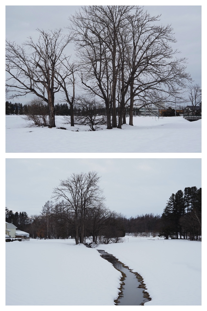 260306_Snowy-scenes_8