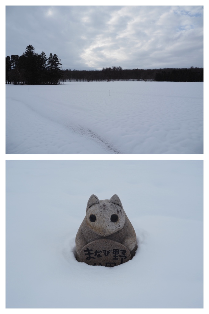 260306_Snowy-scenes_9