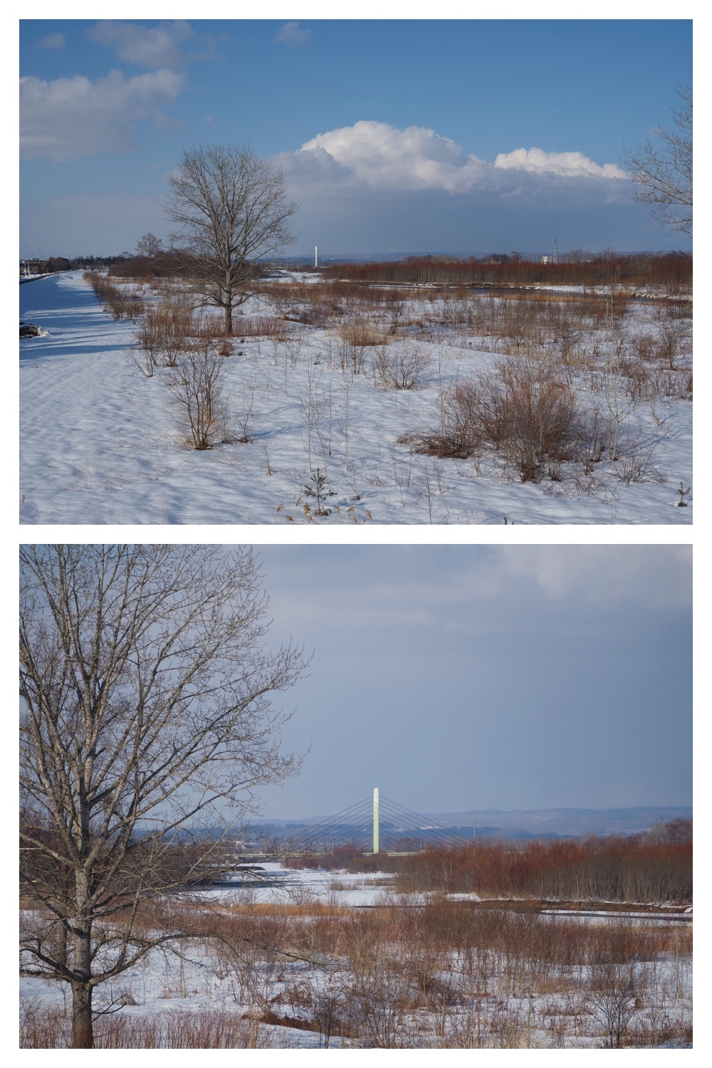 260310_Aikoku-00hashi_4