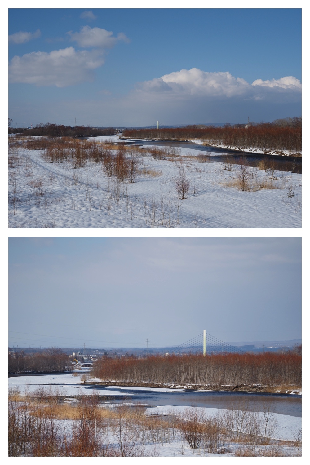 260310_Aikoku-00hashi_5