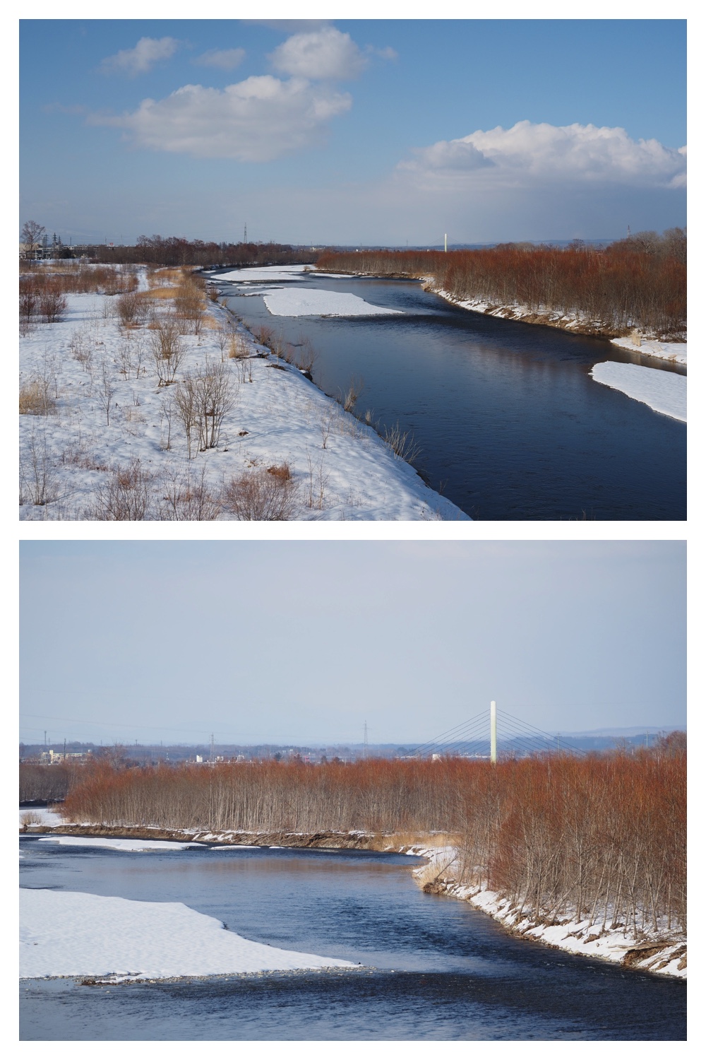 260310_Aikoku-00hashi_6