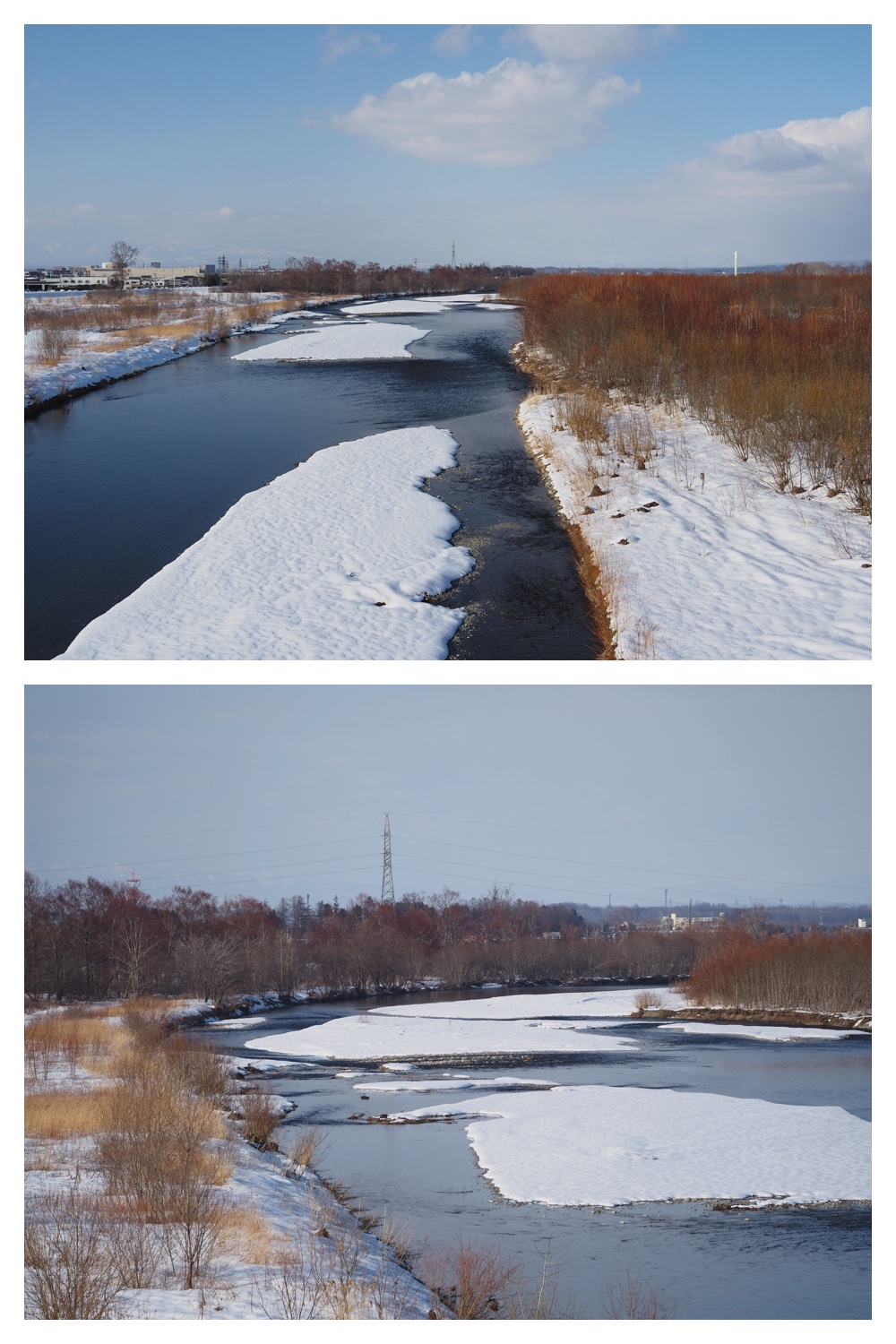 260310_Aikoku-00hashi_7