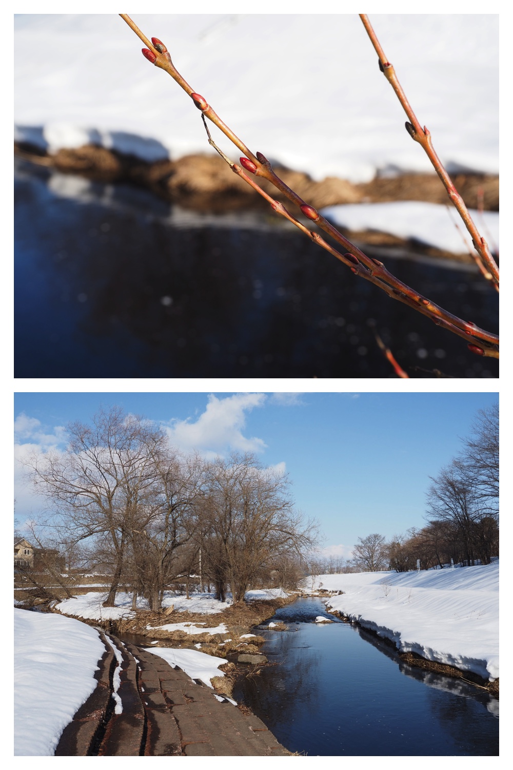 260311_Solar-panel_11