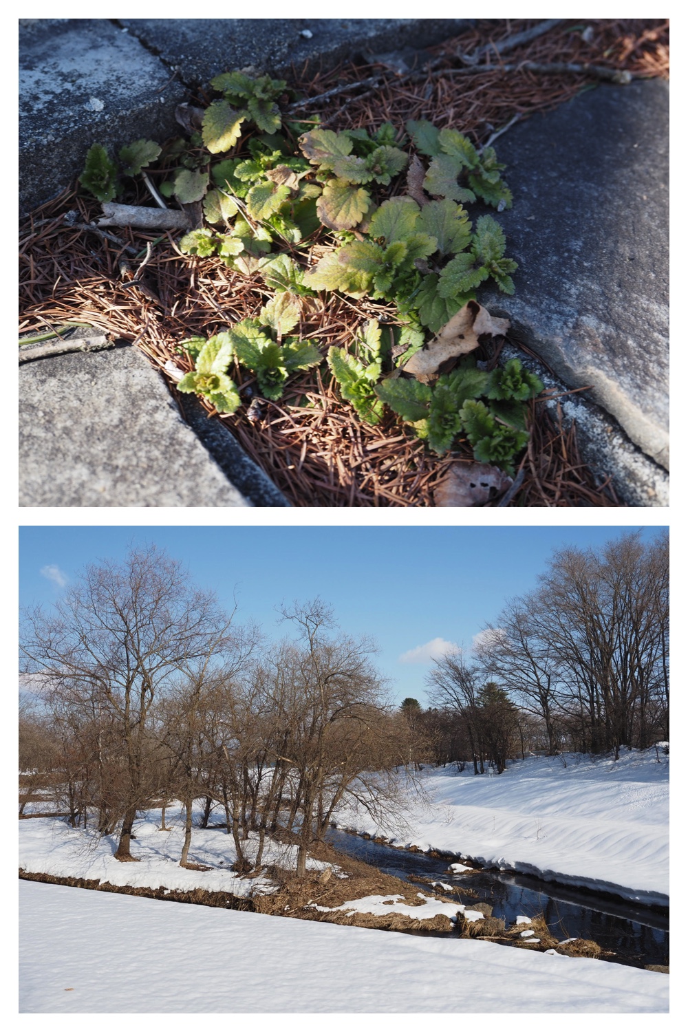 260311_Solar-panel_13