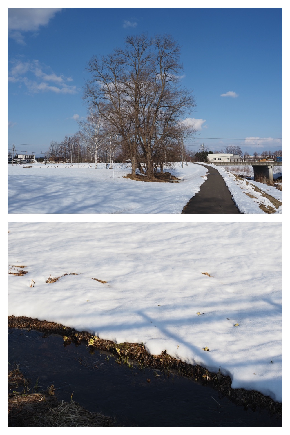 260311_Solar-panel_15