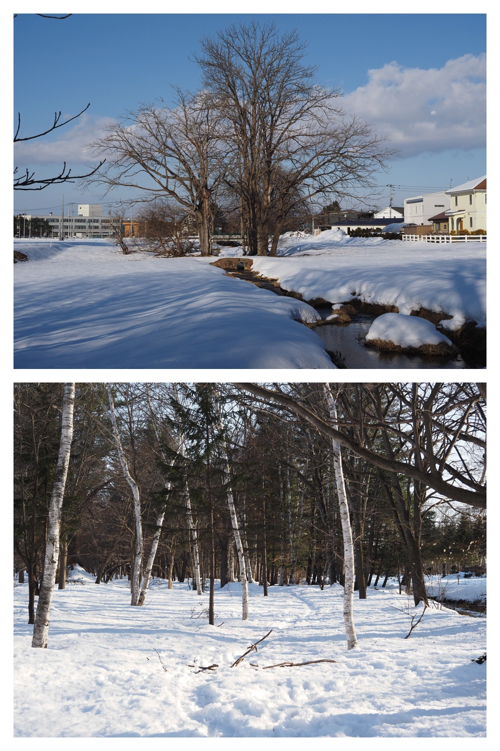 260311_Solar-panel_16