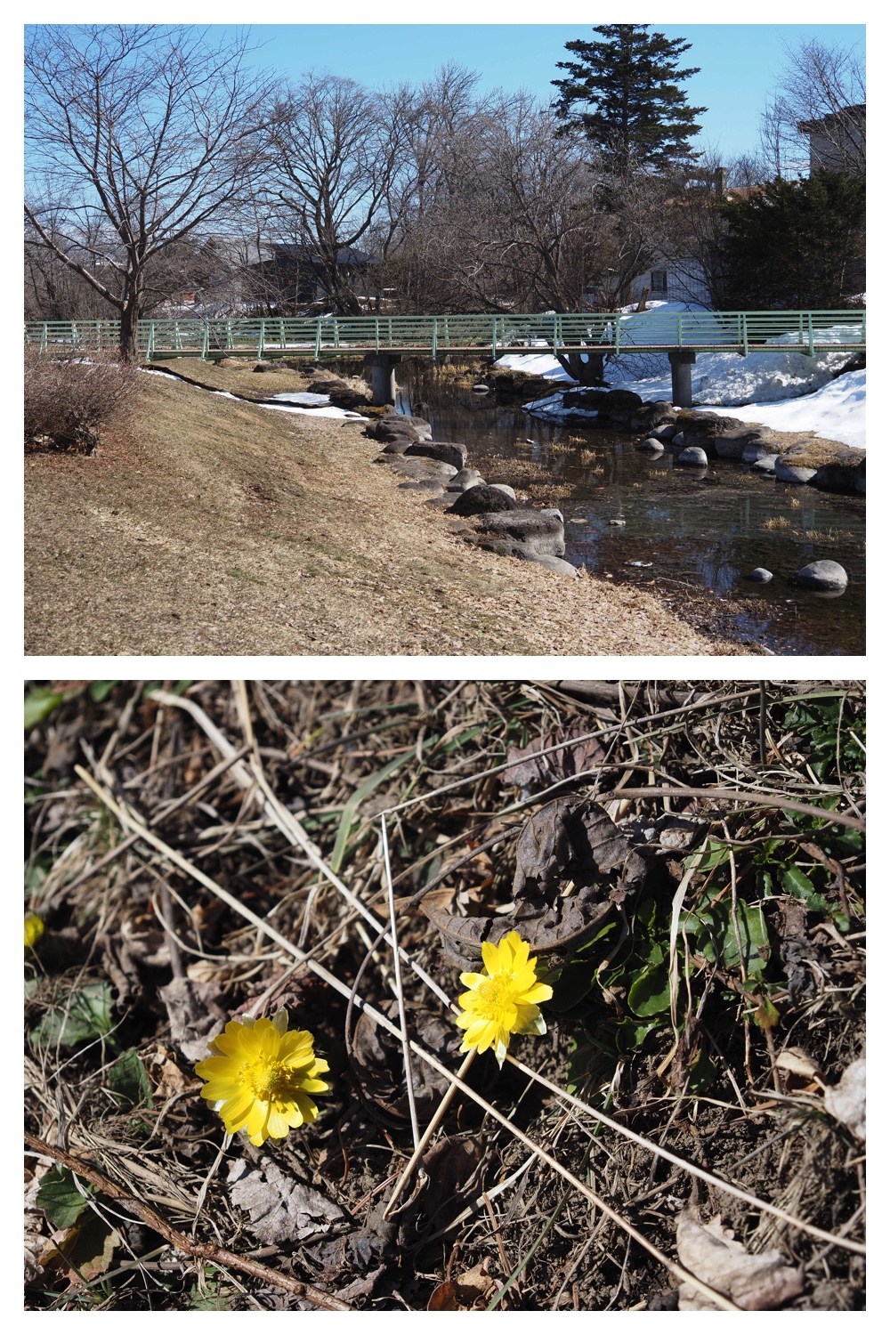 260314_Hasshounochi_21