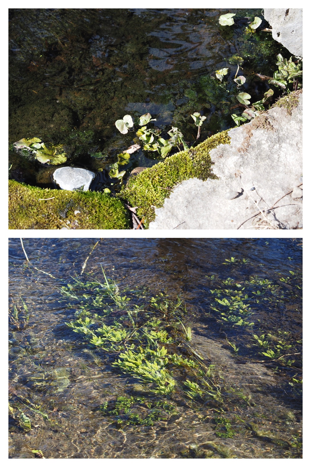 260314_Hasshounochi_24