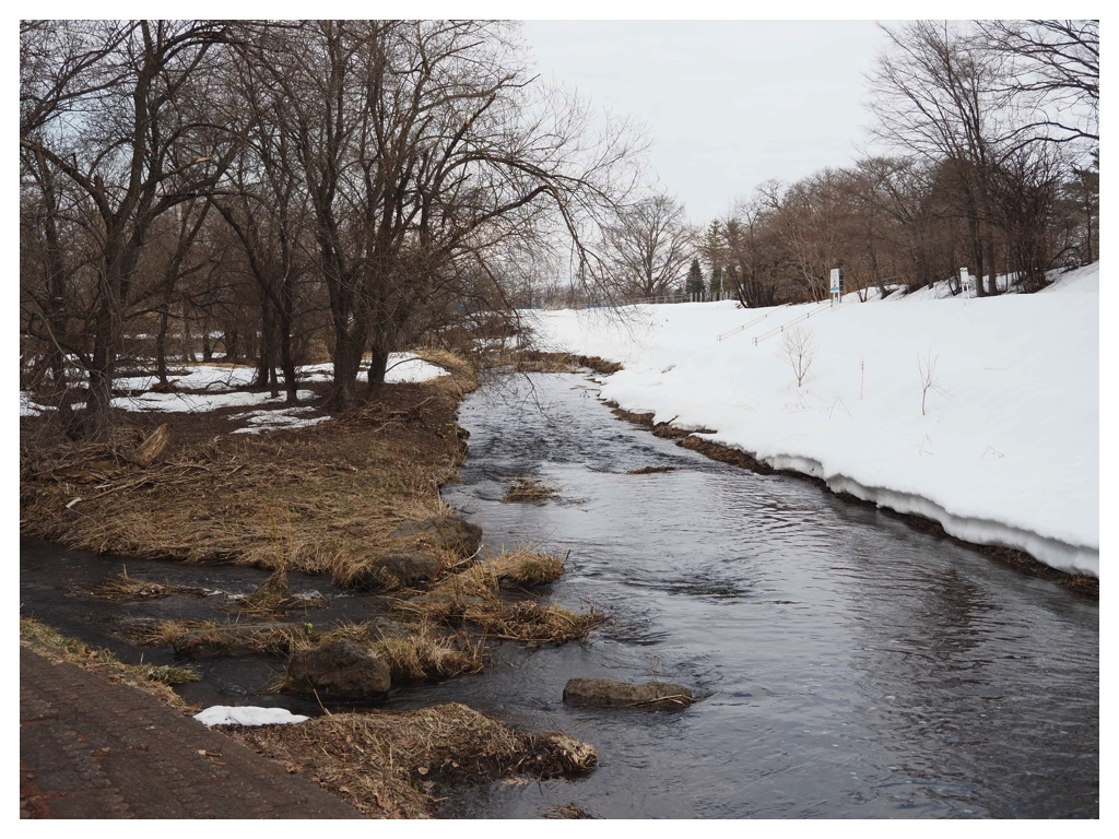 260316_Urikaigawa_10