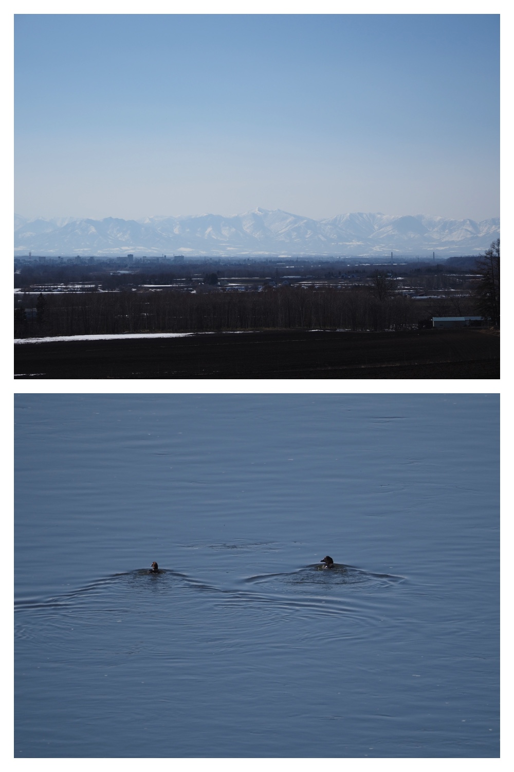 260318_Tokachigaoka_17