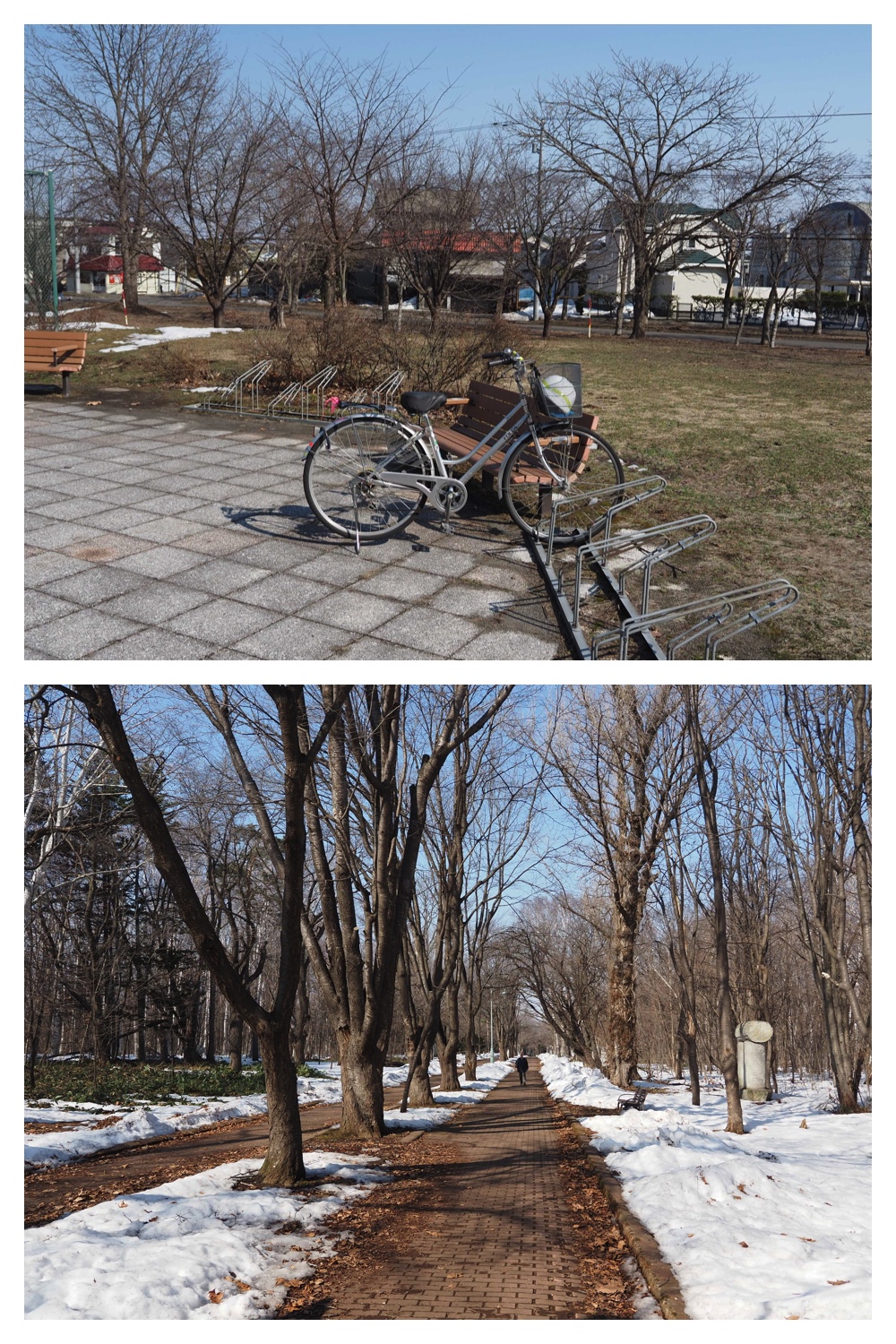 260320_Midorigaoka_1