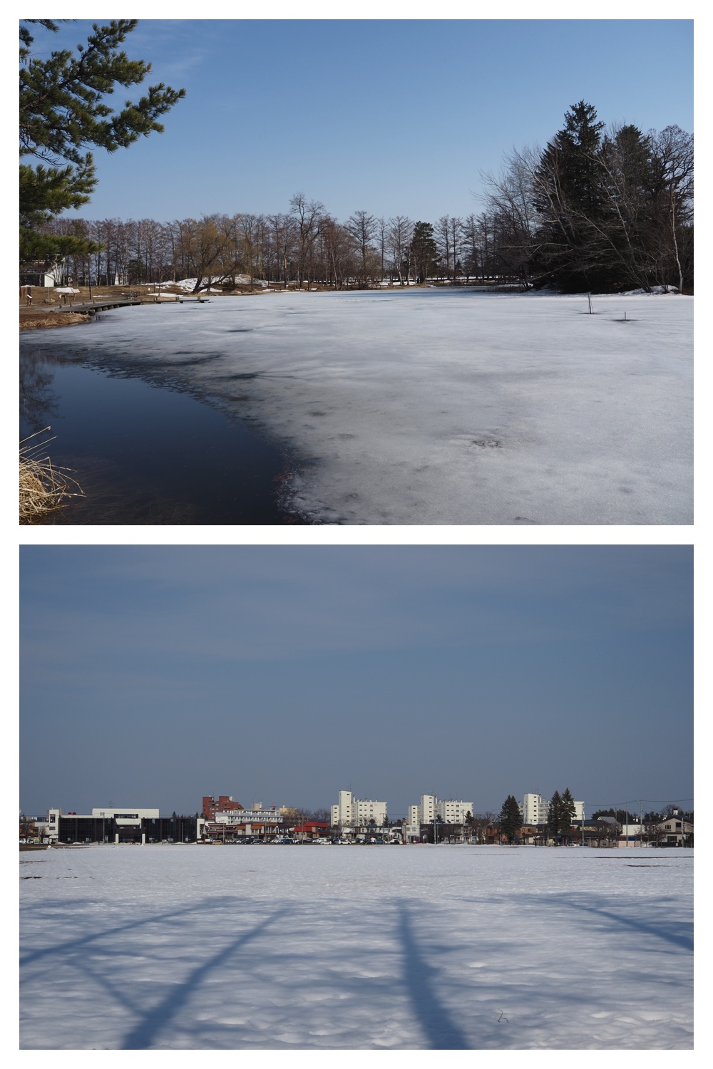 260320_Midorigaoka_7