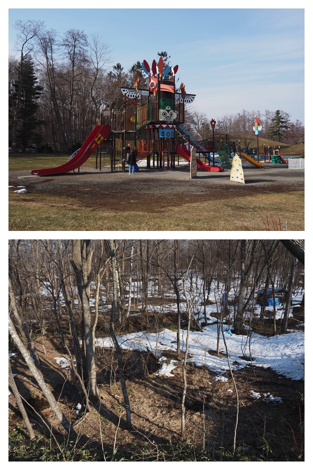 260320_Midorigaoka_8