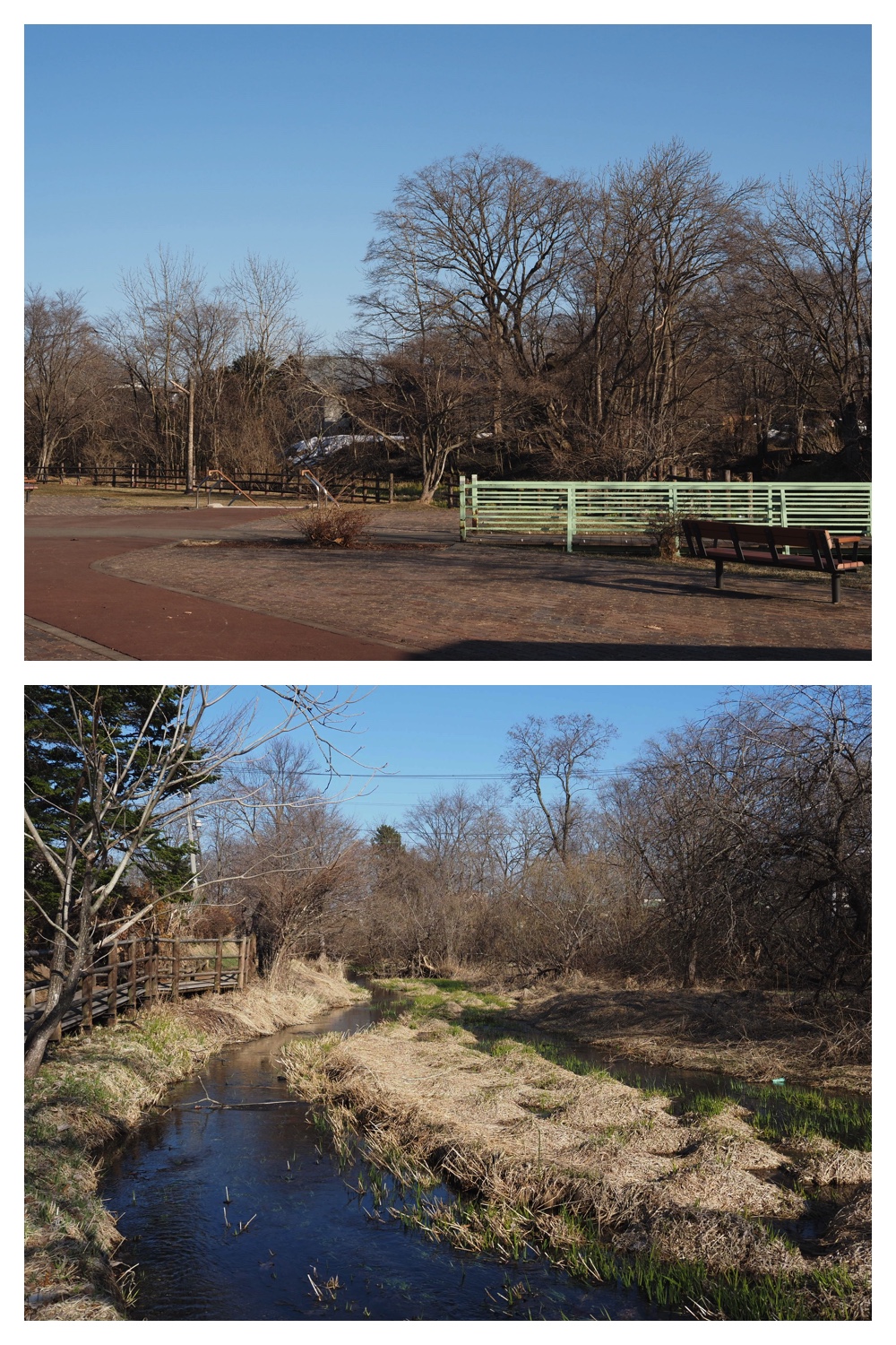 260325_Hasshounochi_7