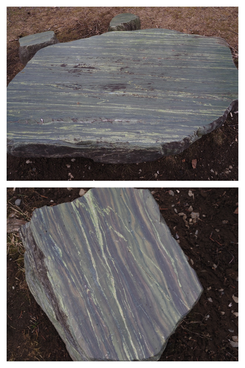 260327_Midorigaoka_3